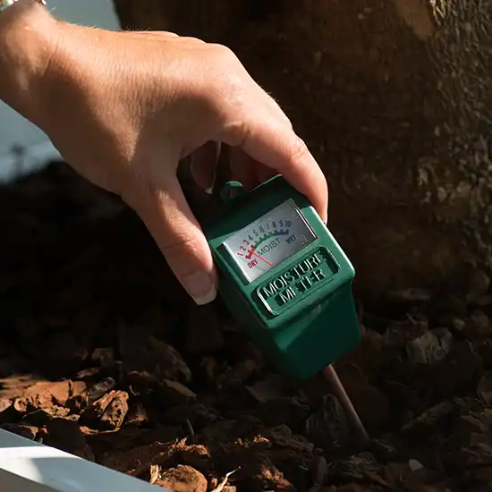 Få Landbrugspraktikanter til Din Bedrift